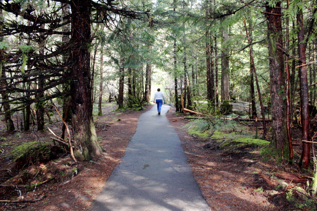 Ape Cave Trail