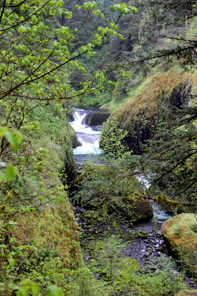 Eagle Creek Canyon 2