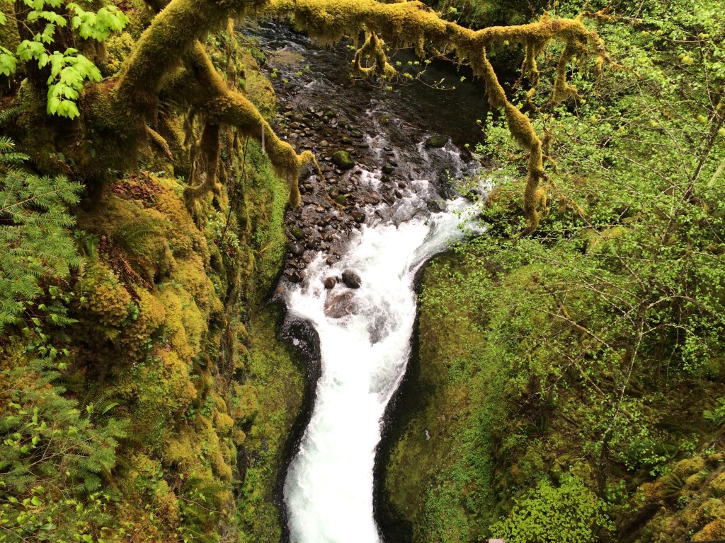 Eagle Creek Waterfall Chute