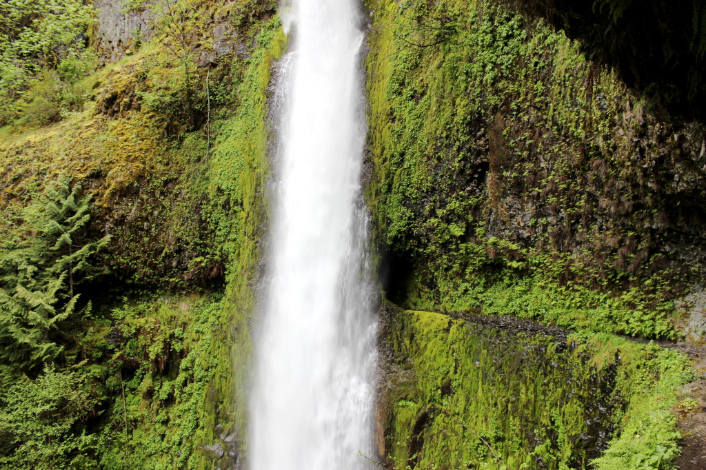 Tunnel Falls Medium