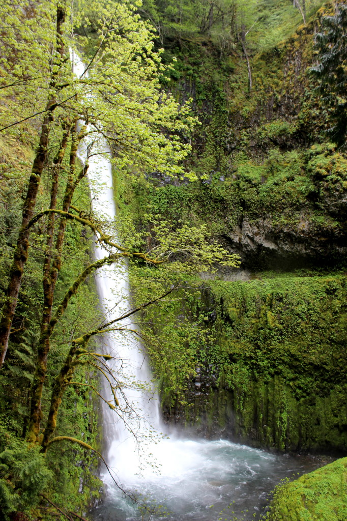 Tunnel Falls Wide