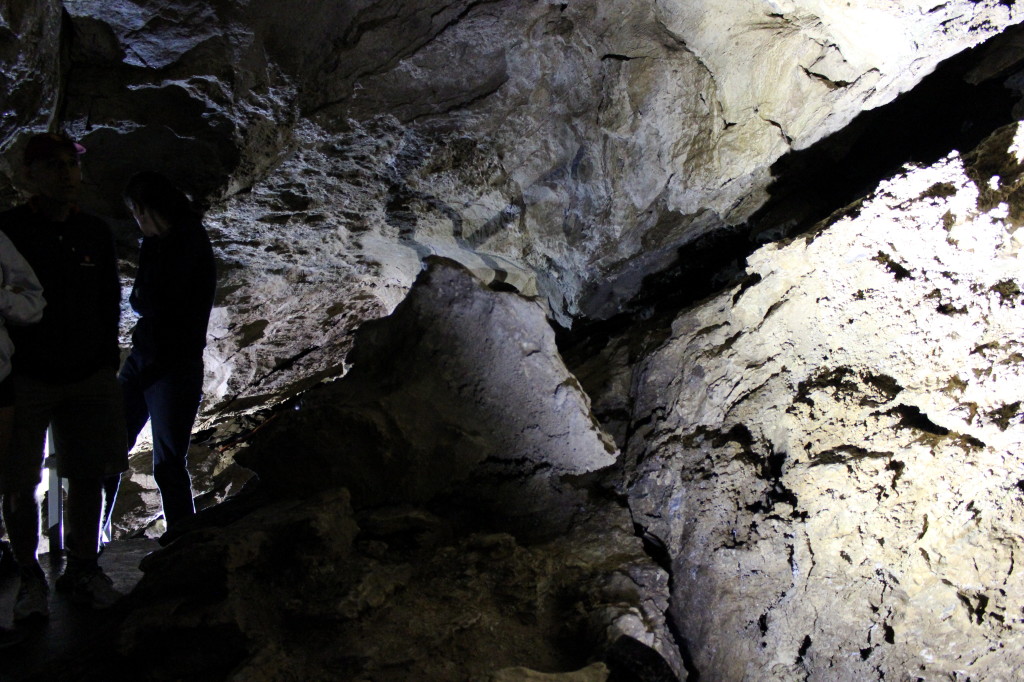 Oregon Caves 10