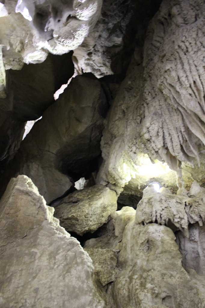 Oregon Caves 12