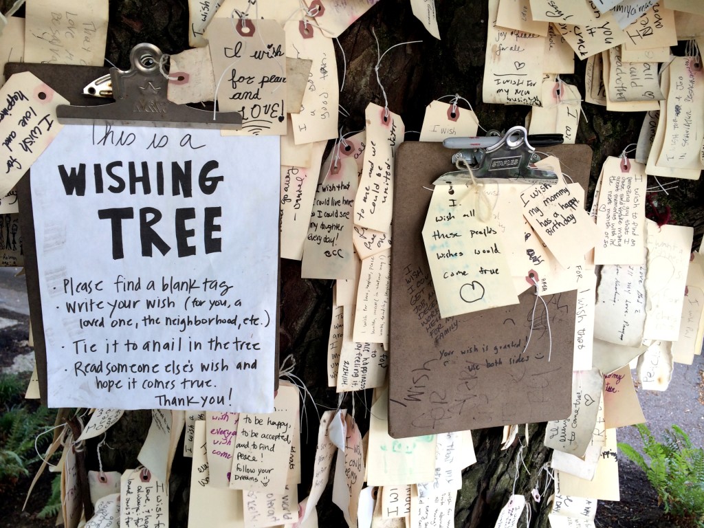 wishing tree 2