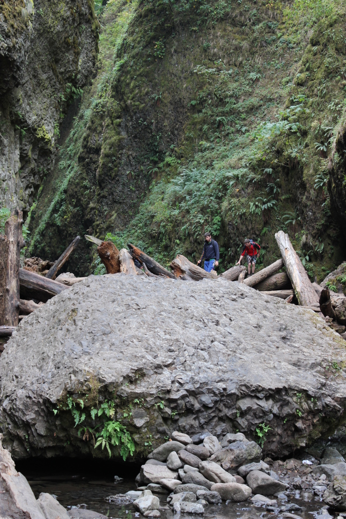 Oneonta Gorge 12