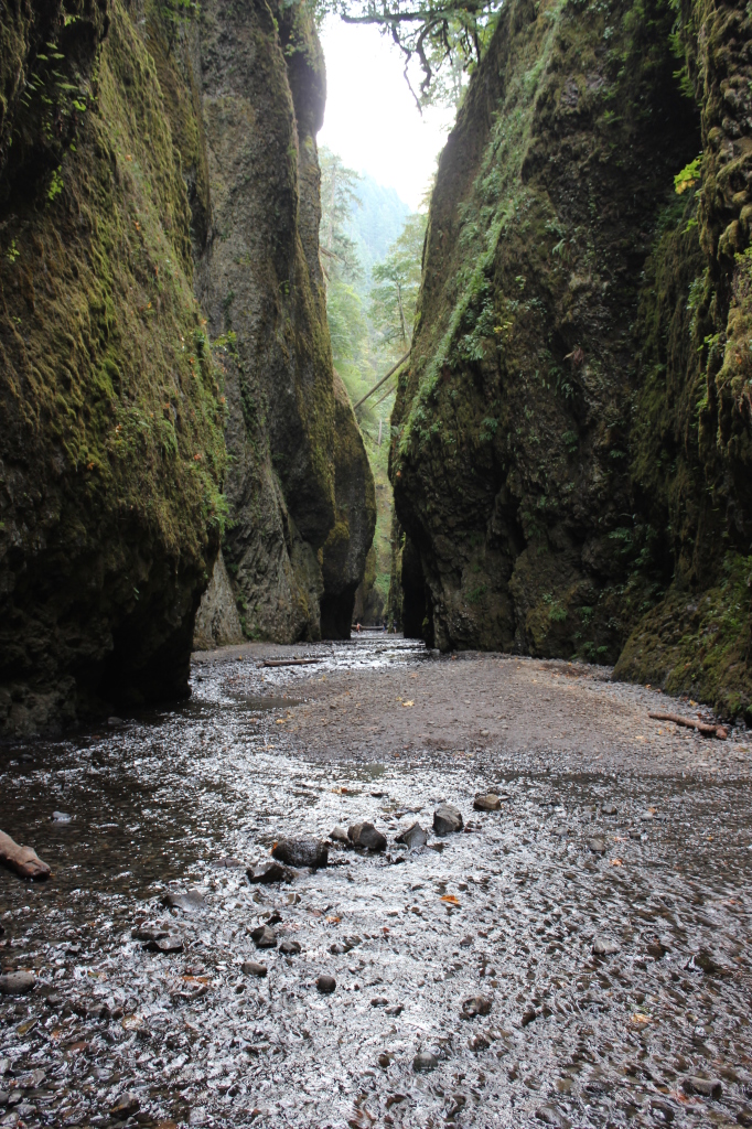 Oneonta Gorge 2