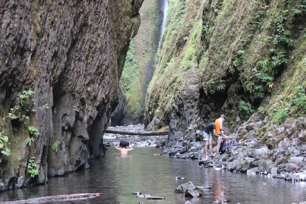 Oneonta Gorge 4