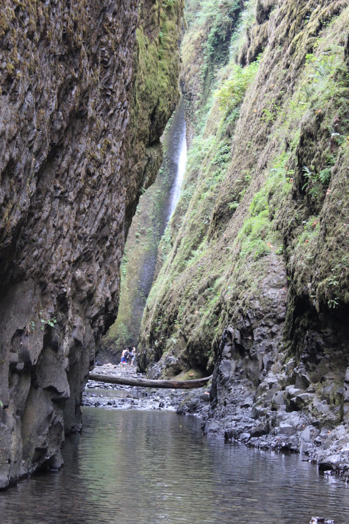 Oneonta Gorge 5