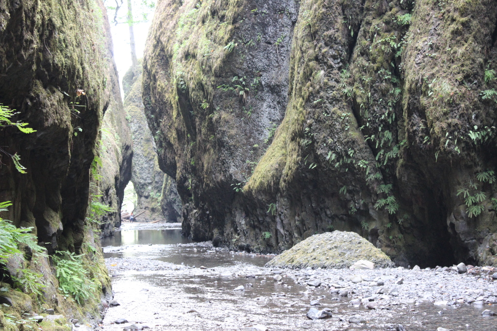 Oneonta Gorge 7