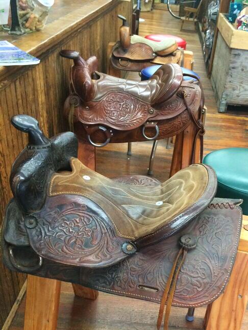 The old trunk saddles