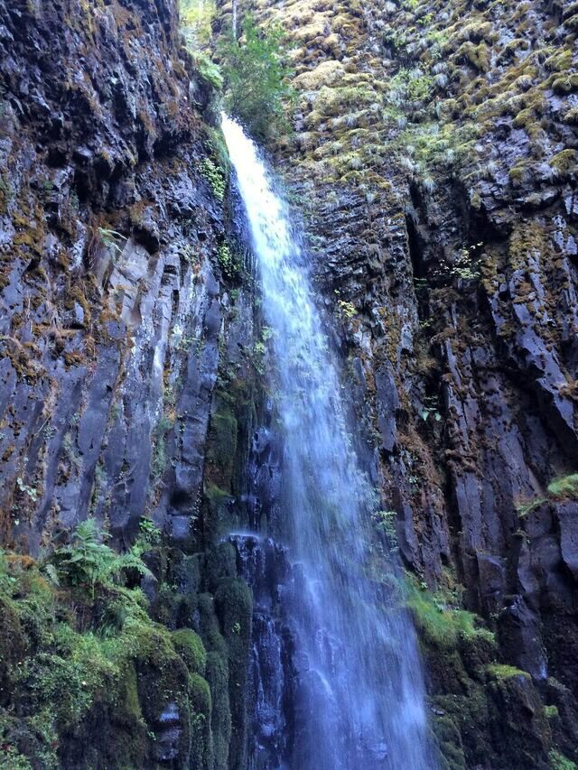 Dry Creek Falls Hike - Hiking in Portland, Oregon and Washington