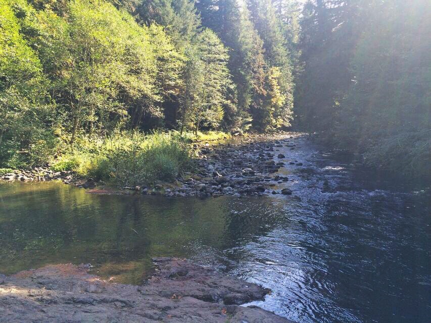 Old Salmon River