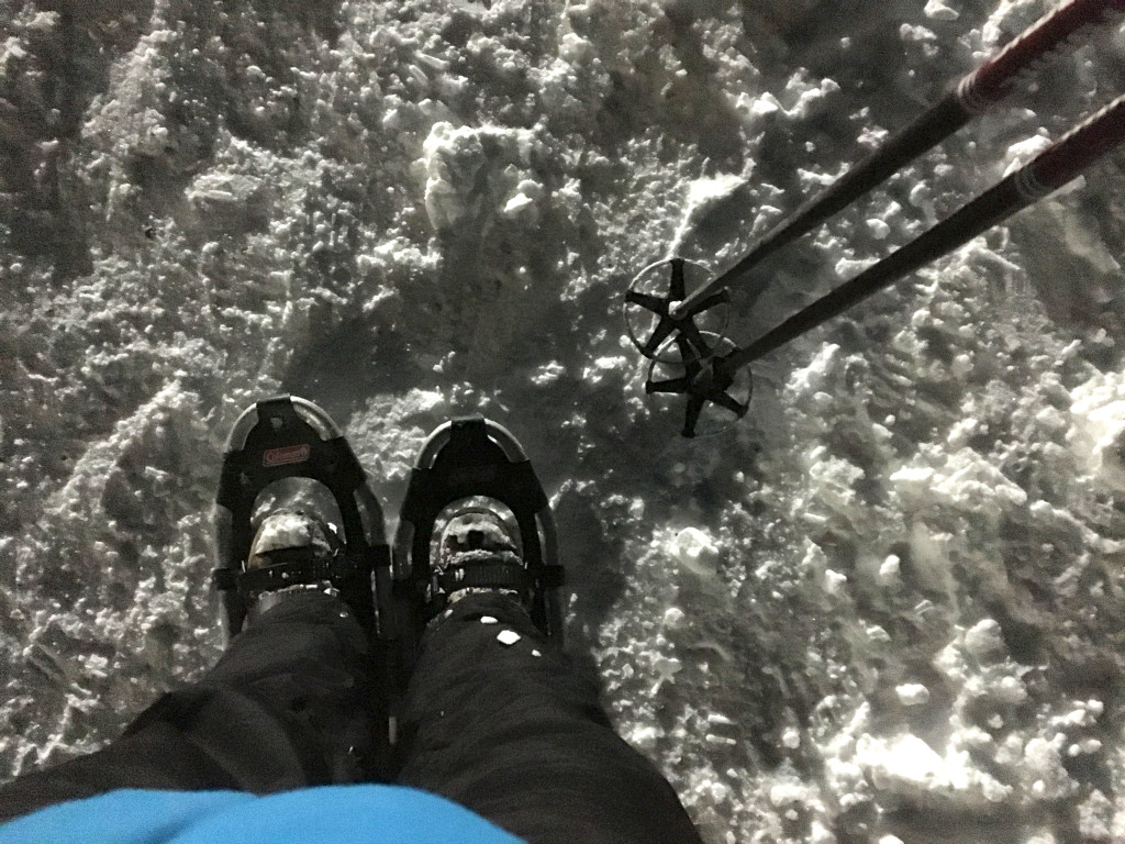 moonlight snowshoe feet