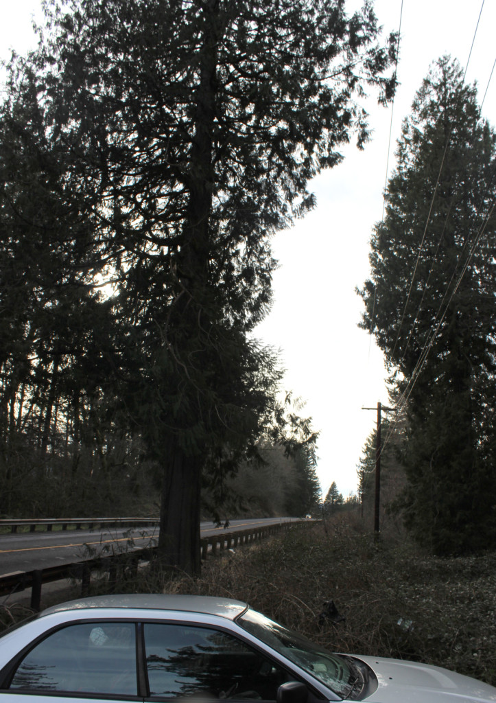 skamania stone house car park