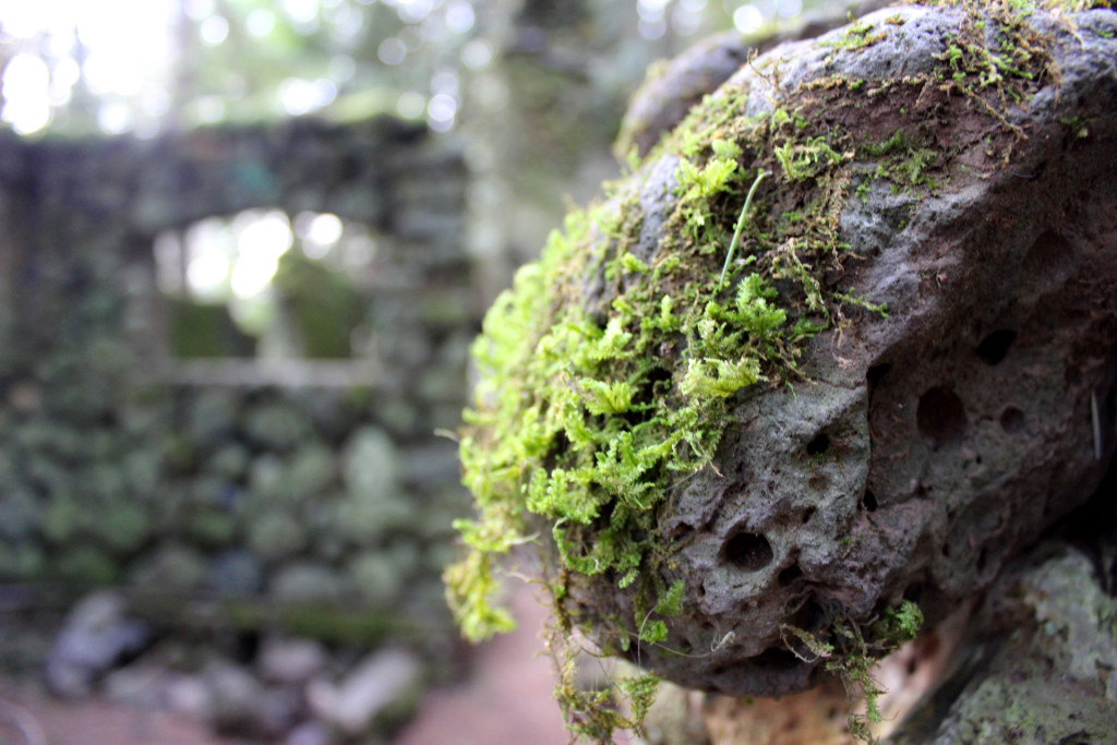 skamania stone house moss