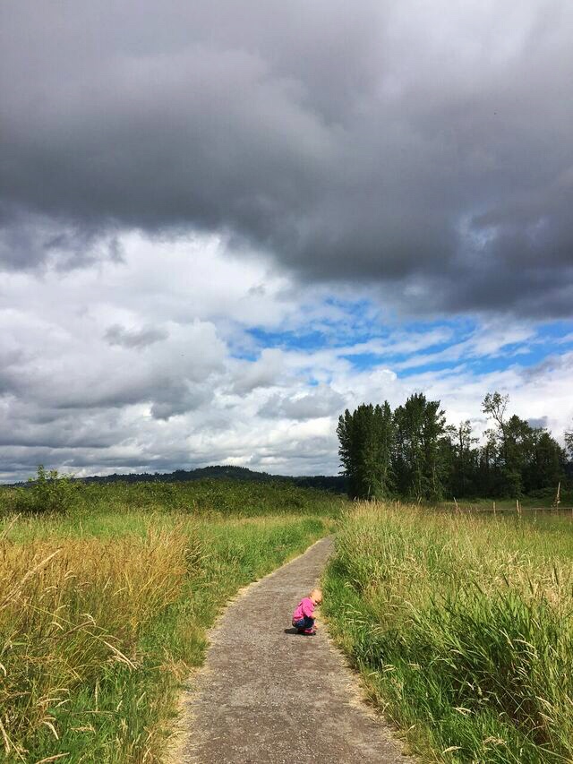 Steigerwald wide trails