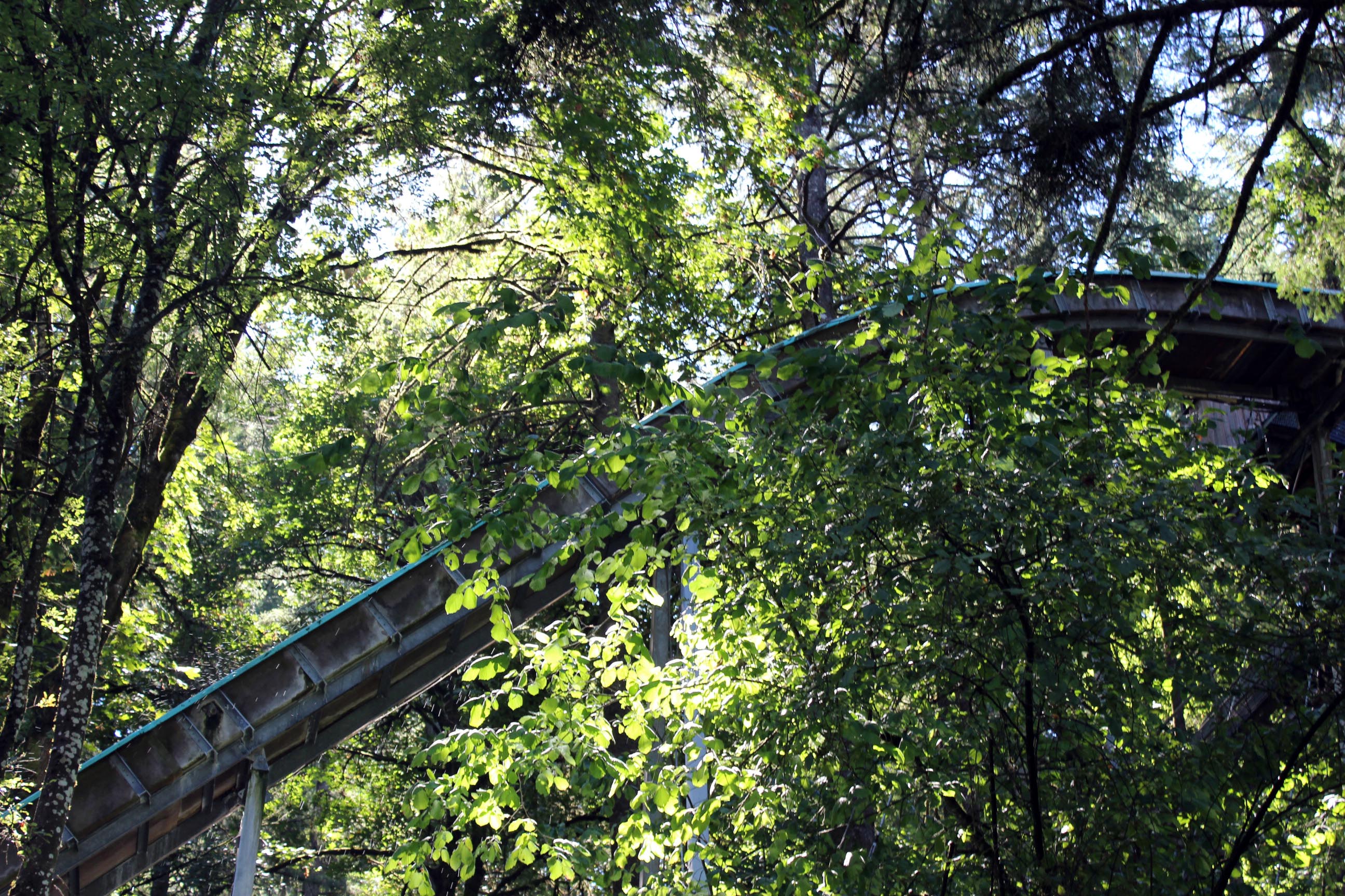 enchanted-forest-log-ride