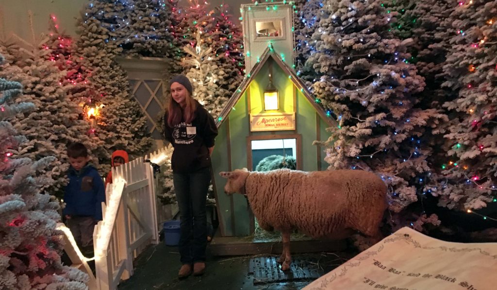 christmas-in-dairyville-sheep