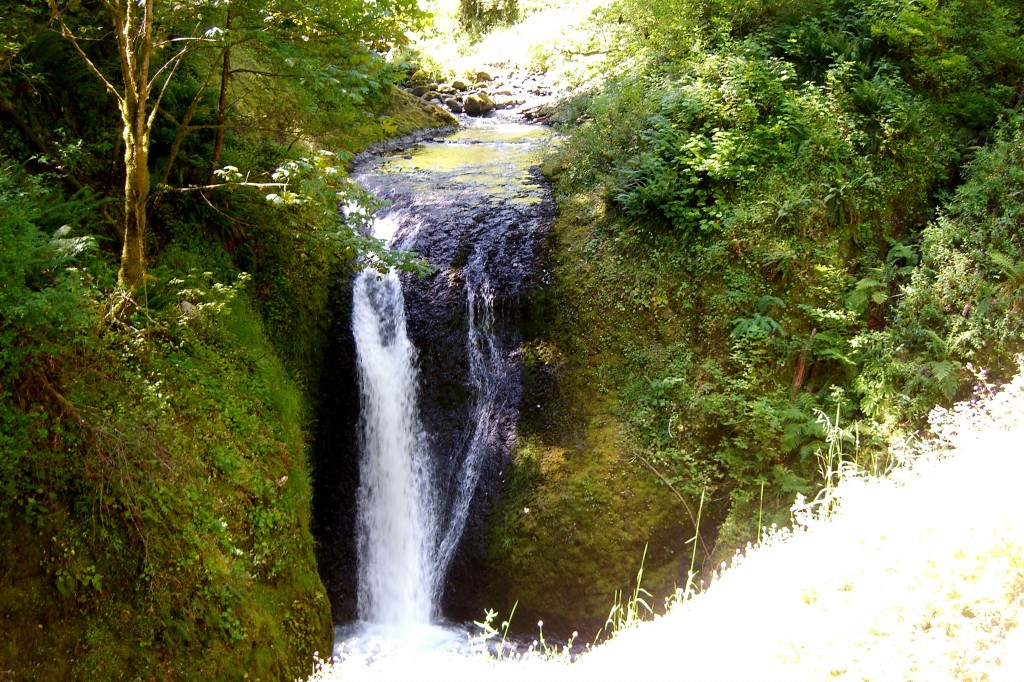 Hike: Horsetail Falls | Kristi Does PDX: Adventures in Portland, OR