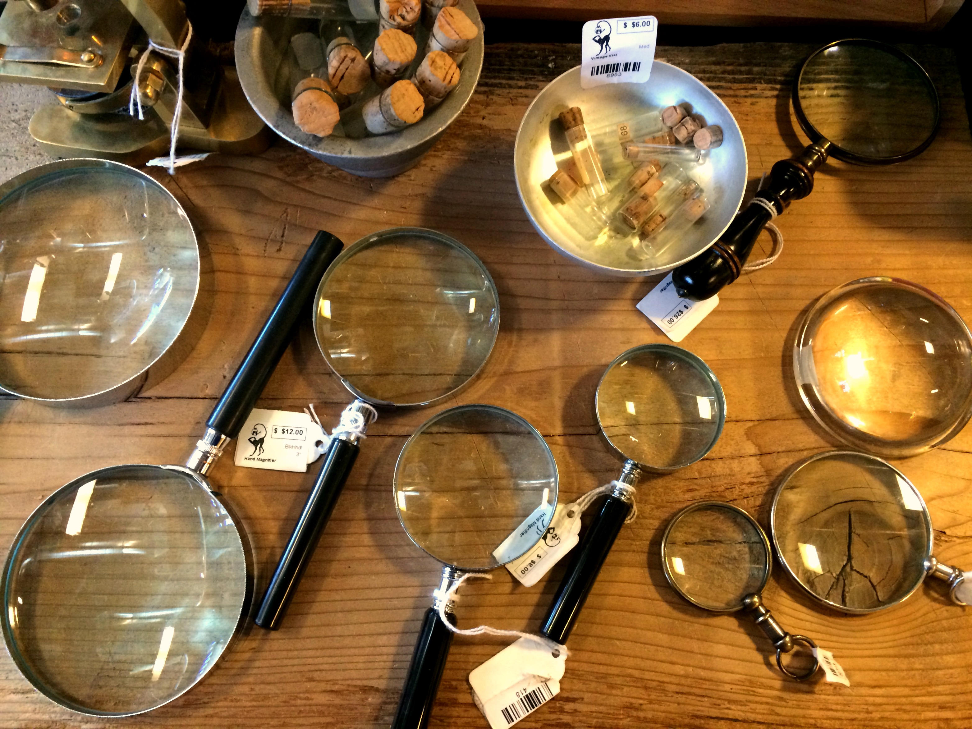 Paxton Gate Magnifying Glasses