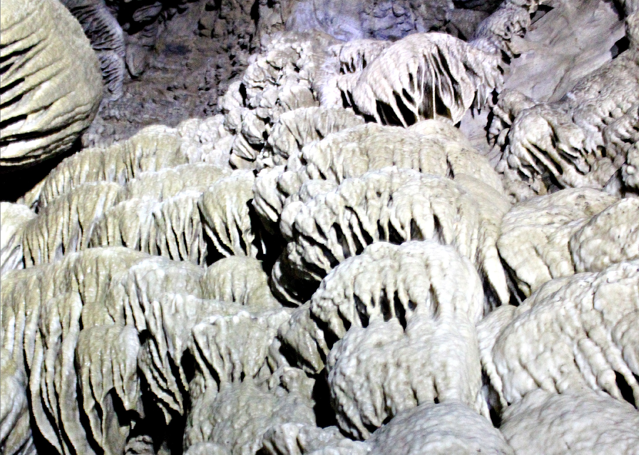 Oregon Caves COVER