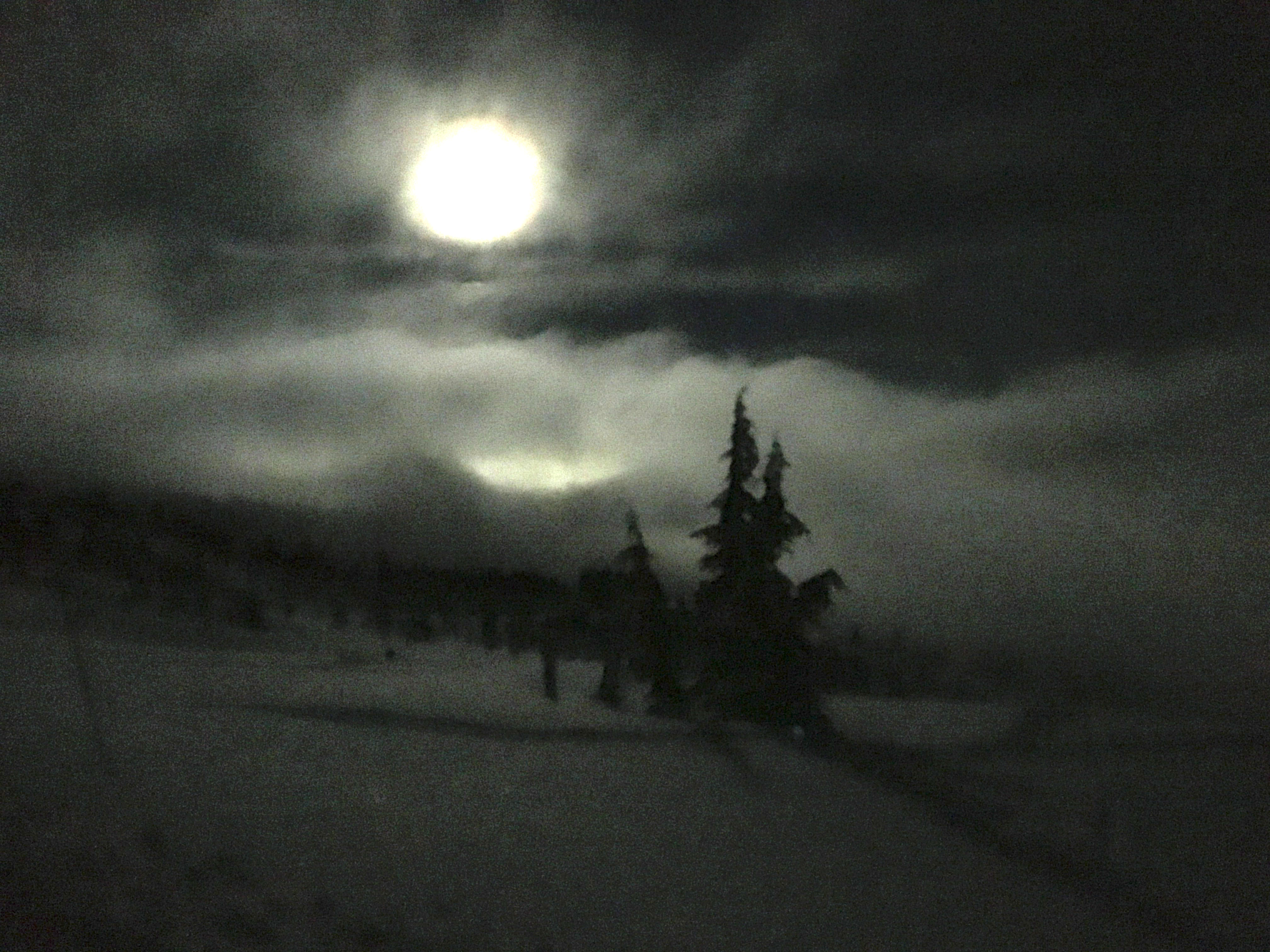 moonlight snowshoe moon