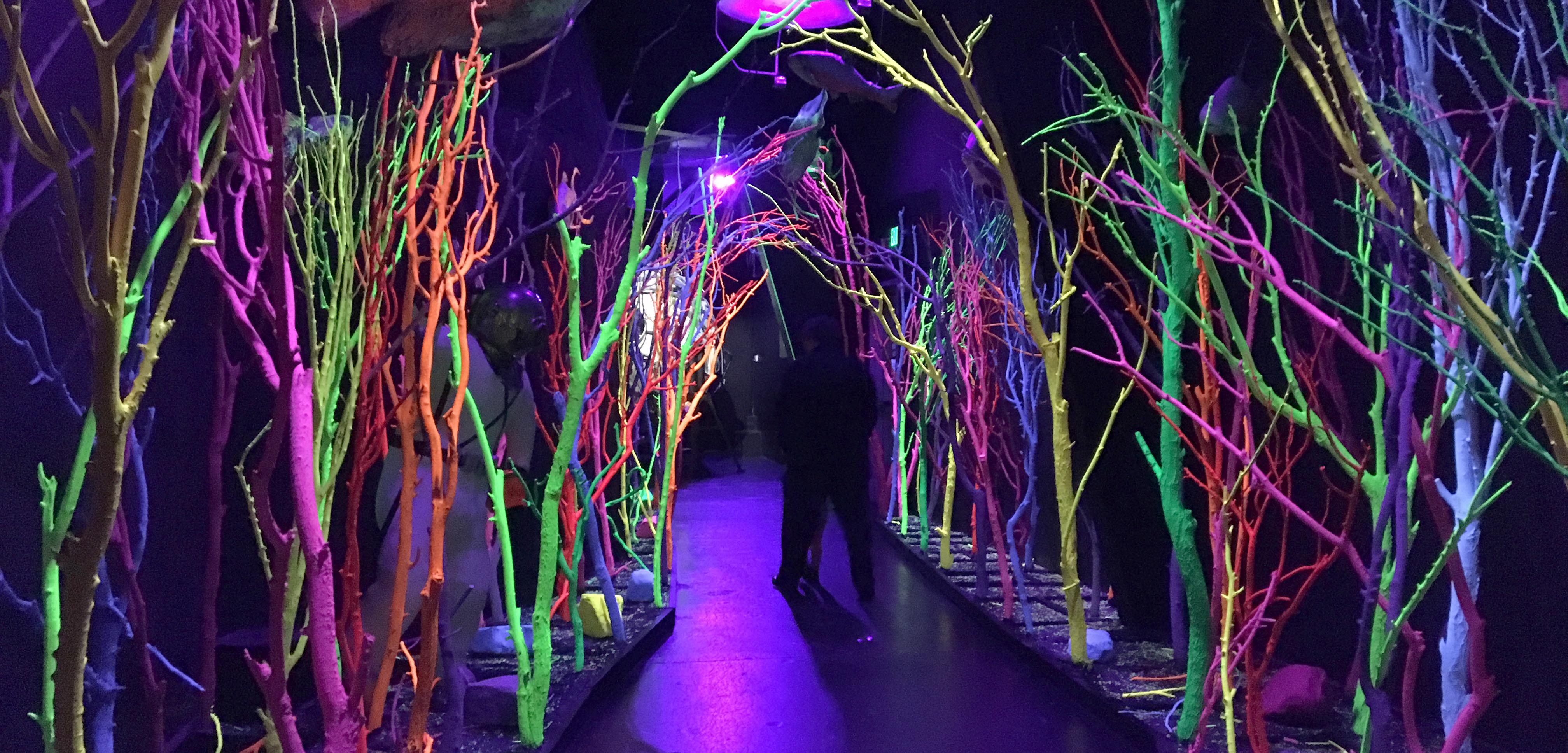 Meow Wolf Cover Underwater Tunnel